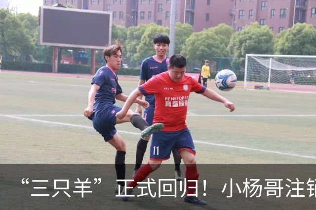 “三只羊”正式回归！小杨哥注销过亿粉丝d音账号，再注册新号发声明。