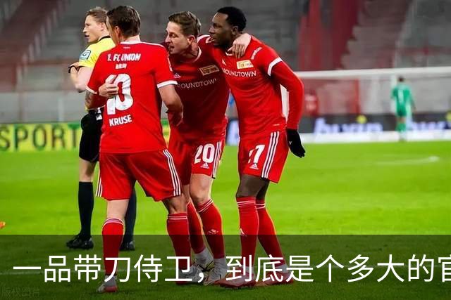 一品带刀侍卫，到底是个多大的官？