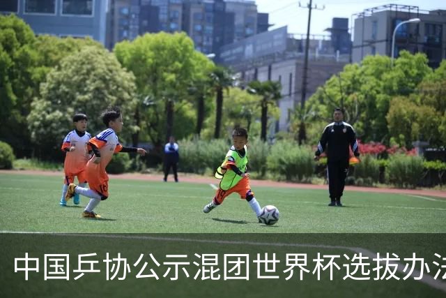 中国乒协公示混团世界杯选拔办法：服务奥运夺金目标
