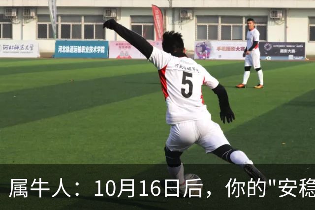 属牛人：10月16日后，你的"安稳日子"要暂时中断
