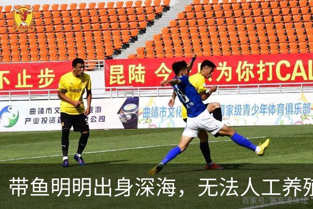 带鱼明明出身深海，无法人工养殖，为什么成了便宜的平民海鲜？