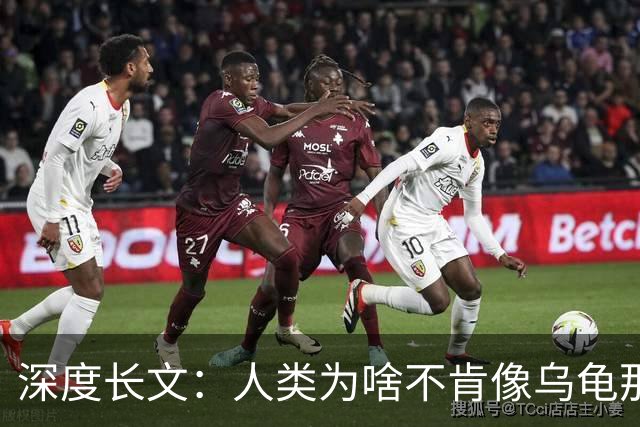 深度长文：人类为啥不肯像乌龟那样吃一顿管好几天？