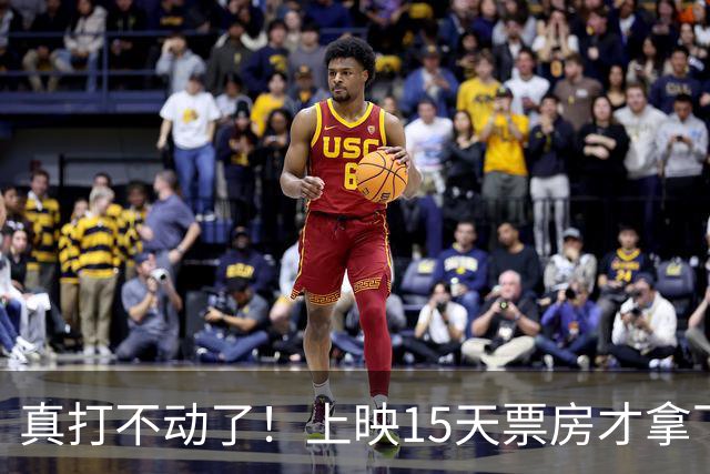 真打不动了！上映15天票房才拿下6000万