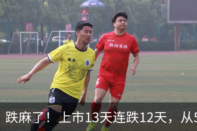 跌麻了！上市13天连跌12天，从580跌到130，买入的散户该怎么办？