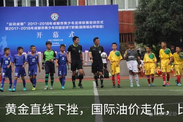 黄金直线下挫，国际油价走低，比特币升破8.3万美元，伊朗：目前不能排除战争的可能性